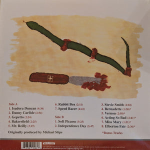 VIC CHESNUTT - LITTLE ( 12" RECORD )