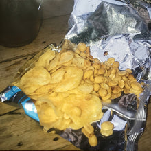 Load image into Gallery viewer, SLEAFORD MODS - ENGLISH TAPAS ( 12" RECORD )