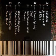 Load image into Gallery viewer, SEVENDEATHS - REMOTE SYMPATHY ( 12" RECORD )