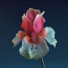 Load image into Gallery viewer, FLUME - TINY CITIES FEAT. BECK (LINDSTROM & PRINS THOM ( 12" RECORD )