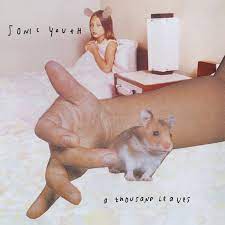Sonic Youth – A Thousand Leaves