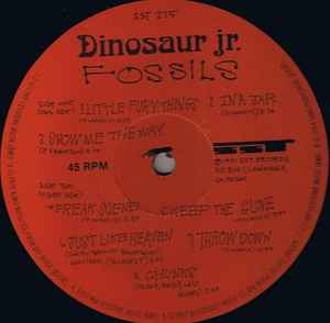 Dinosaur Jr. – Fossils