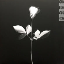 Load image into Gallery viewer, Depeche Mode ‎– Violator