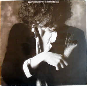 The Waterboys ‎– This Is The Sea