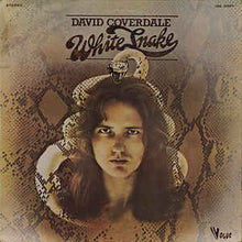 Load image into Gallery viewer, David Coverdale ‎– Whitesnake