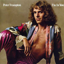 Load image into Gallery viewer, Peter Frampton ‎– I&#39;m In You