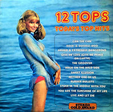 Load image into Gallery viewer, Unknown Artist ‎– 12 Tops Today&#39;s Top Hits Volume 12