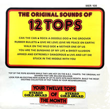 Load image into Gallery viewer, Unknown Artist ‎– 12 Tops Today&#39;s Top Hits Volume 12