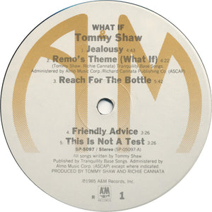 Tommy Shaw ‎– What If