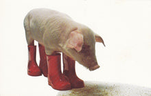 Load image into Gallery viewer, Pork Dukes  ‎– Pink Pork