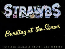 Load image into Gallery viewer, Strawbs ‎– Bursting At The Seams