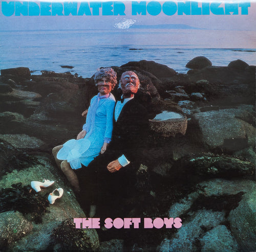 The Soft Boys ‎– Underwater Moonlight