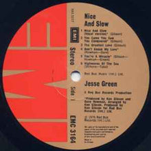 Load image into Gallery viewer, Jesse Green - Nice And Slow (LP, Album)