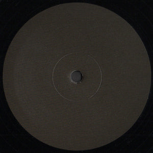 BICEP - AURA ( 12" RECORD )
