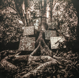 KAMASI WASHINGTON - HARMONY OF DIFFERENCE ( 12