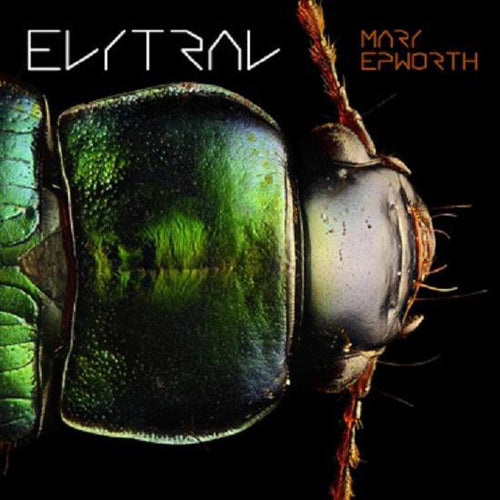 MARY EPWORTH - ELYTRAL ( 12