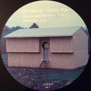 LEE RANALDO - ELECTRIC TRIM ( 12" RECORD )