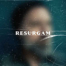 Load image into Gallery viewer, FINK - RESURGAM ( 12&quot; RECORD )