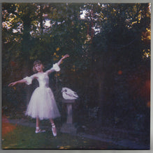 Load image into Gallery viewer, Wolf Alice ‎– Visions Of A Life