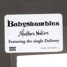Load image into Gallery viewer, Babyshambles – Shotter&#39;s Nation