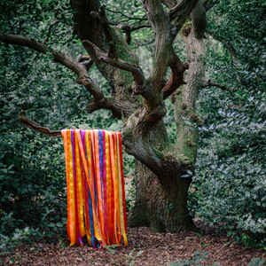 JAMES HOLDEN & THE ANIMAL SPIRITS - THE ANIMAL SPIRITS ( 12