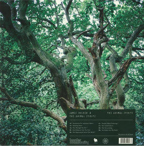 JAMES HOLDEN & THE ANIMAL SPIRITS - THE ANIMAL SPIRITS ( 12