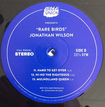 Load image into Gallery viewer, JONATHAN WILSON - RARE BIRDS ( 12&quot; RECORD )