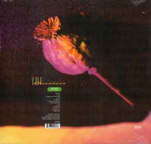 Load image into Gallery viewer, The Breeders ‎– Pod