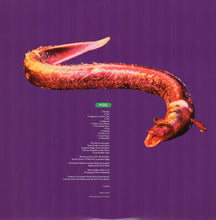 Load image into Gallery viewer, The Breeders ‎– Pod