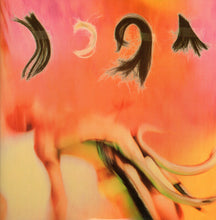 Load image into Gallery viewer, The Breeders ‎– Pod