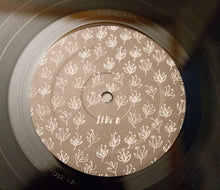 Load image into Gallery viewer, LAURA VEIRS - THE LOOKOUT ( 12&quot; RECORD )