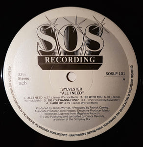 Sylvester ‎– All I Need