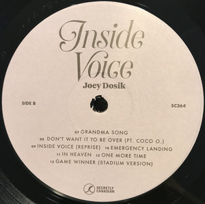 JOEY DOSIK - INSIDE VOICE ( 12" RECORD )