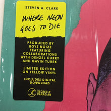 Load image into Gallery viewer, STEVEN A CLARK - WHERE NEON GOES TO DIE ( 12&quot; RECORD )