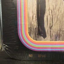 Load image into Gallery viewer, KURT VILE - BOTTLE IT IN ( 12&quot; RECORD )