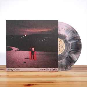 Antarctigo Vespucci ‎– Love In The Time Of E-Mail