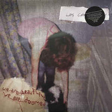 Load image into Gallery viewer, LOS CAMPESINOS! - WE ARE BEAUTIFUL, WE ARE DOOMED ( 12&quot; RECORD )