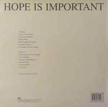 Load image into Gallery viewer, Idlewild ‎– Hope Is Important