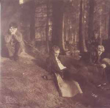 Load image into Gallery viewer, Idlewild ‎– Hope Is Important