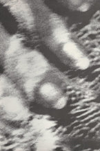 Load image into Gallery viewer, Cocteau Twins – Blue Bell Knoll