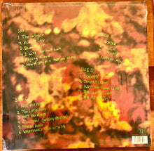 Load image into Gallery viewer, Dinosaur Jr – Green Mind