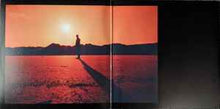 Load image into Gallery viewer, EOB* ‎– Earth