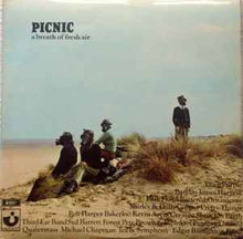 Load image into Gallery viewer, Various - Picnic (A Breath Of Fresh Air) (2xLP, Smplr)