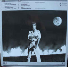 Load image into Gallery viewer, Roger Daltrey ‎– Under A Raging Moon