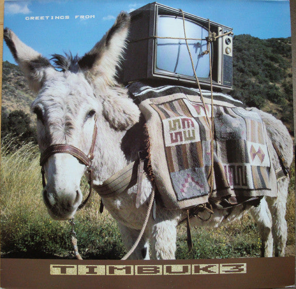 Timbuk 3 ‎– Greetings From Timbuk 3