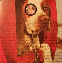 Load image into Gallery viewer, that dog. ‎– that dog.