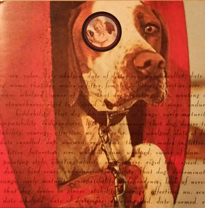 that dog. ‎– that dog.