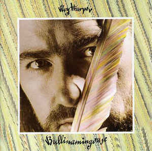 ROY HARPER - BULLINAMINGVASE ( 12