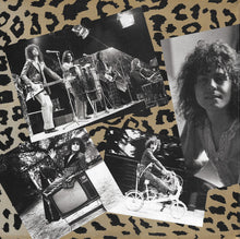 Load image into Gallery viewer, Marc Bolan And T. Rex ‎– Best Of The 20th Century Boy