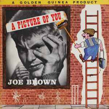 Load image into Gallery viewer, Joe Brown And The Bruvvers - A Picture Of You (LP, Comp, Mono)